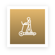 workout gym yoga